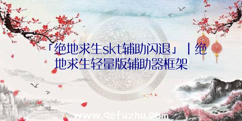 「绝地求生skt辅助闪退」|绝地求生轻量版辅助器框架